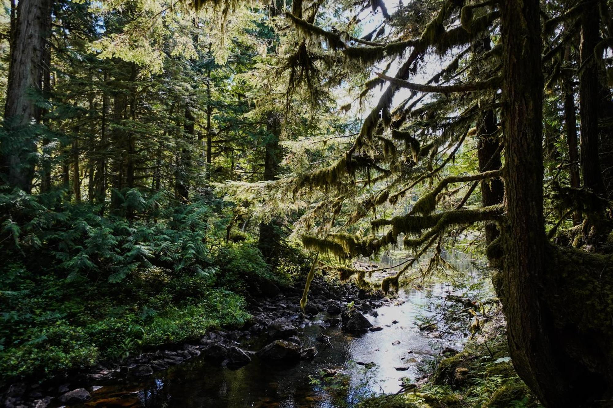Sportsman'S Cove Lodge ケチカン エクステリア 写真